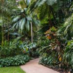 Visit the Cairns Botanic Gardens: Exploring the diverse flora of the Cairns Botanic Gardens.