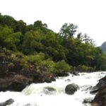 River Rafting on the Tully River: Adventure-filled river rafting on the Tully River.