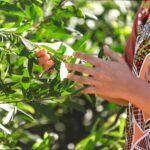 Bush Tucker and Medicinal Plants Tour: Learning about bush tucker and medicinal plants.