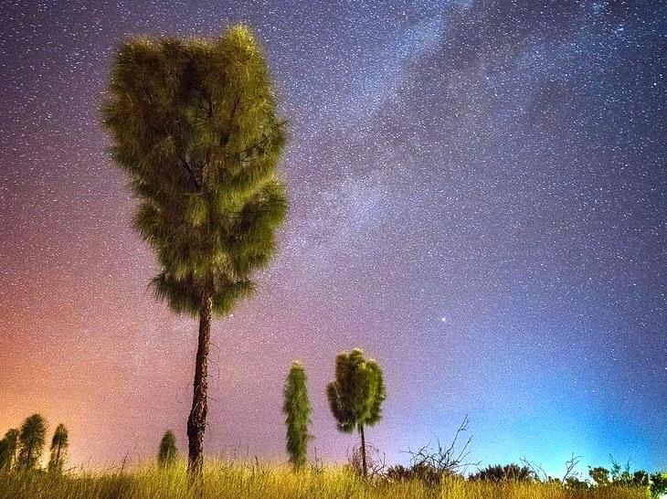 Discover the Stars: Outback Stargazing Adventure