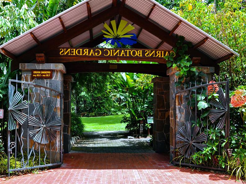 A Journey Through the Diverse Vegetation of Cairns Botanic Gardens