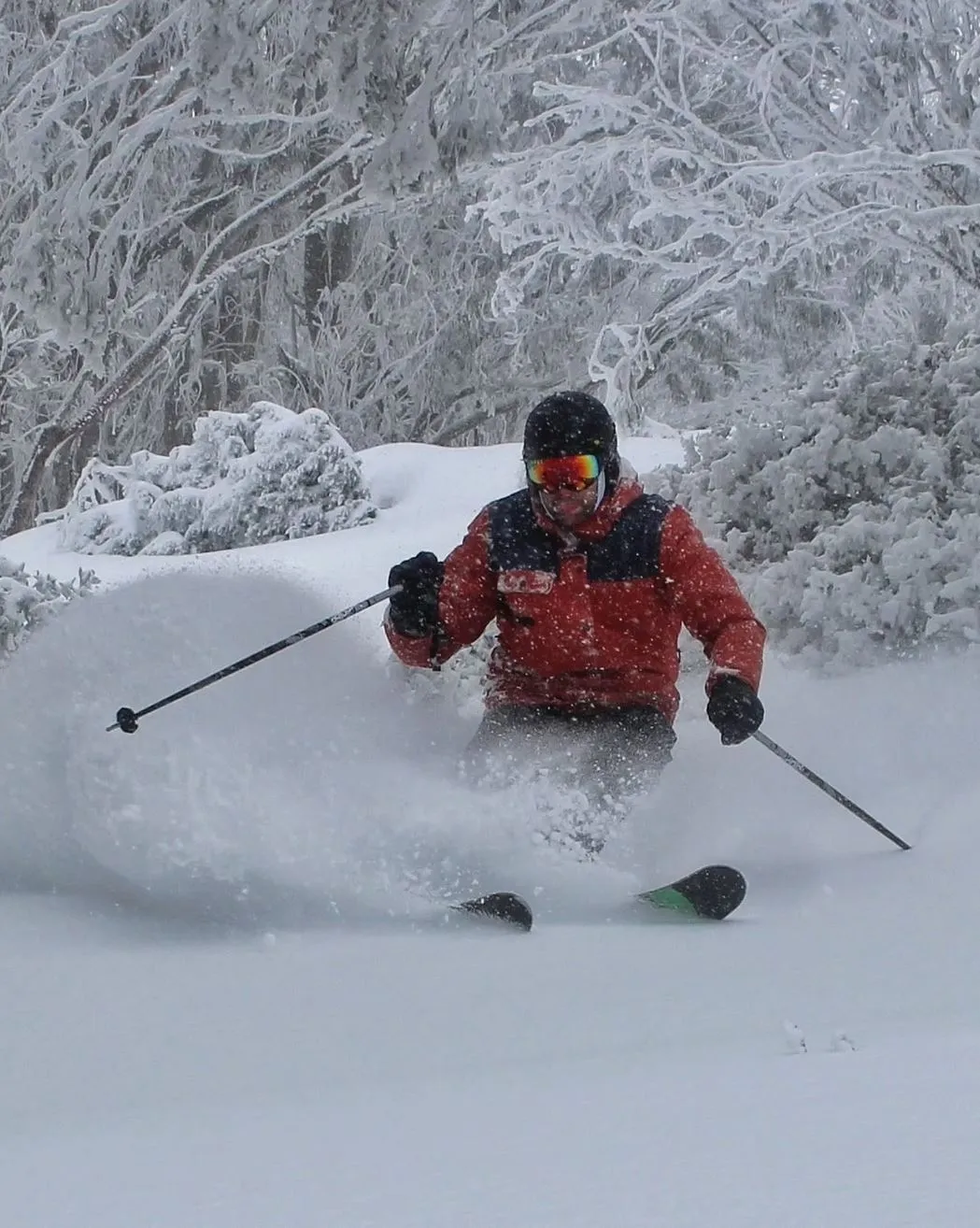 Winter Fun, Ski schools